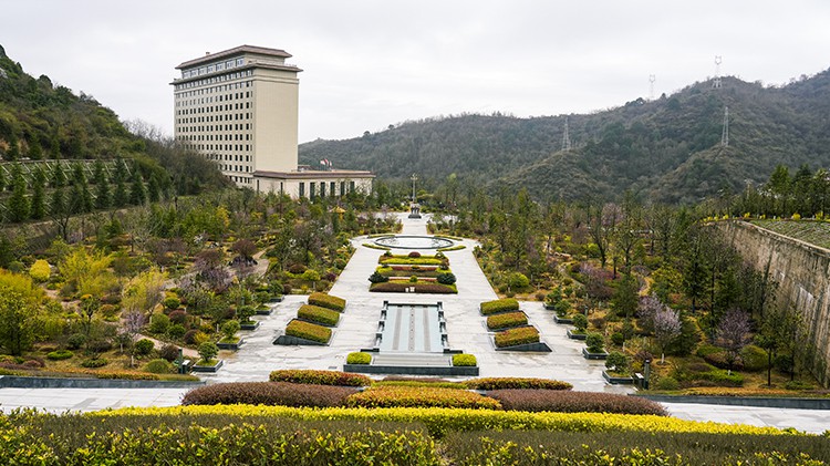 义务植树添新春   agingames发展增活力