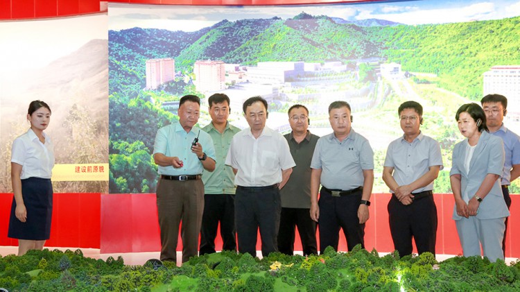 自然资源部矿业权管理司调研组莅临agingames股份指导工作